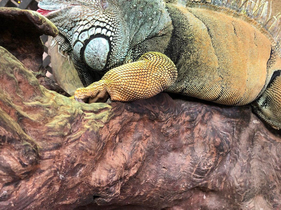 蝴蝶山庄-爱极乐必去景点