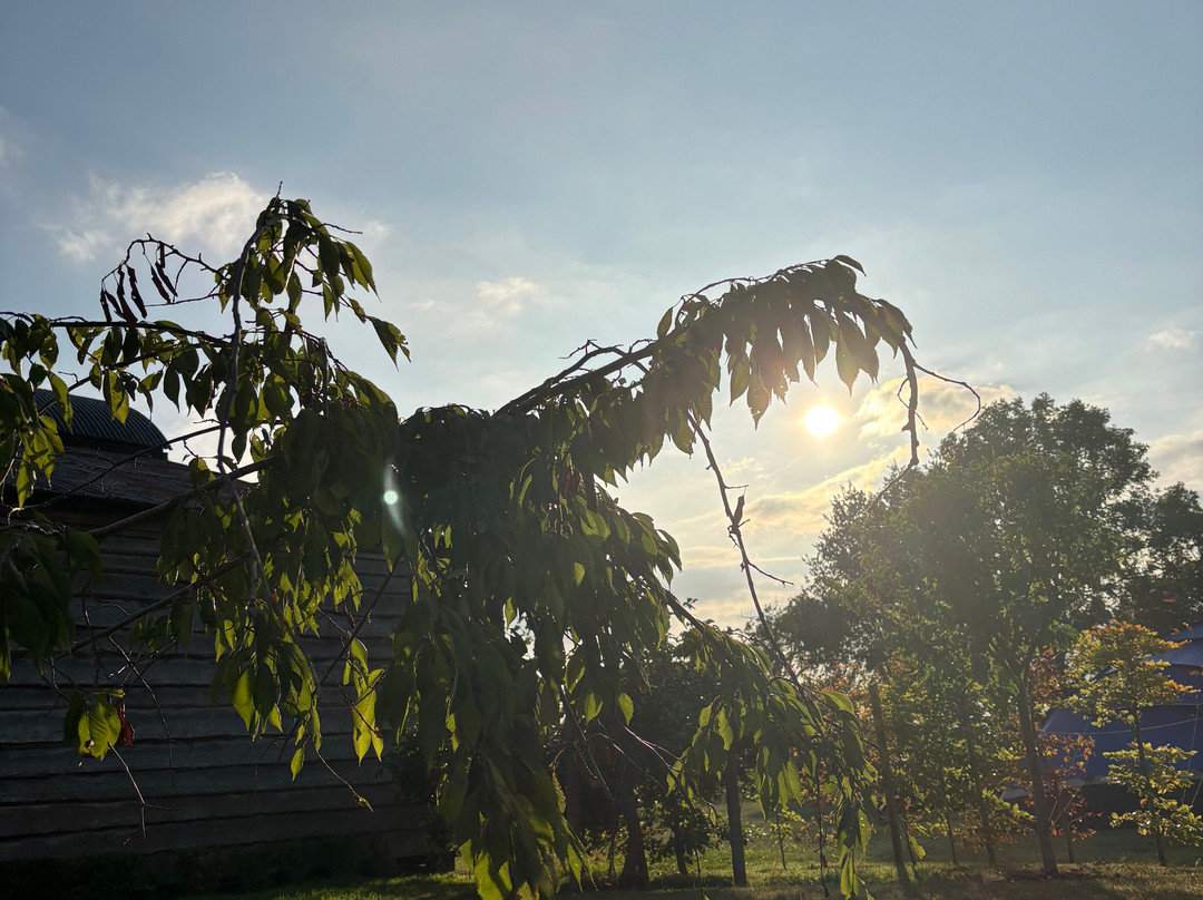 Abbey Green Farm B&B, Camping & Touring Park主图