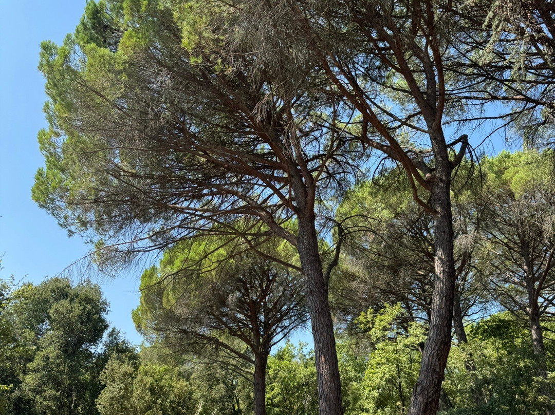 Aoubre L'aventure Nature-Flassans-sur-Issole必去景点