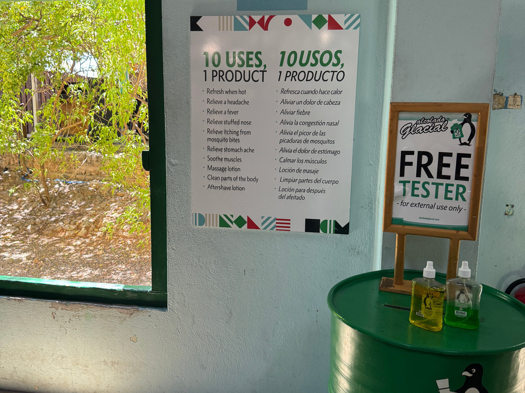 Curacao Liqueur Distillery-威廉斯塔德必去景点