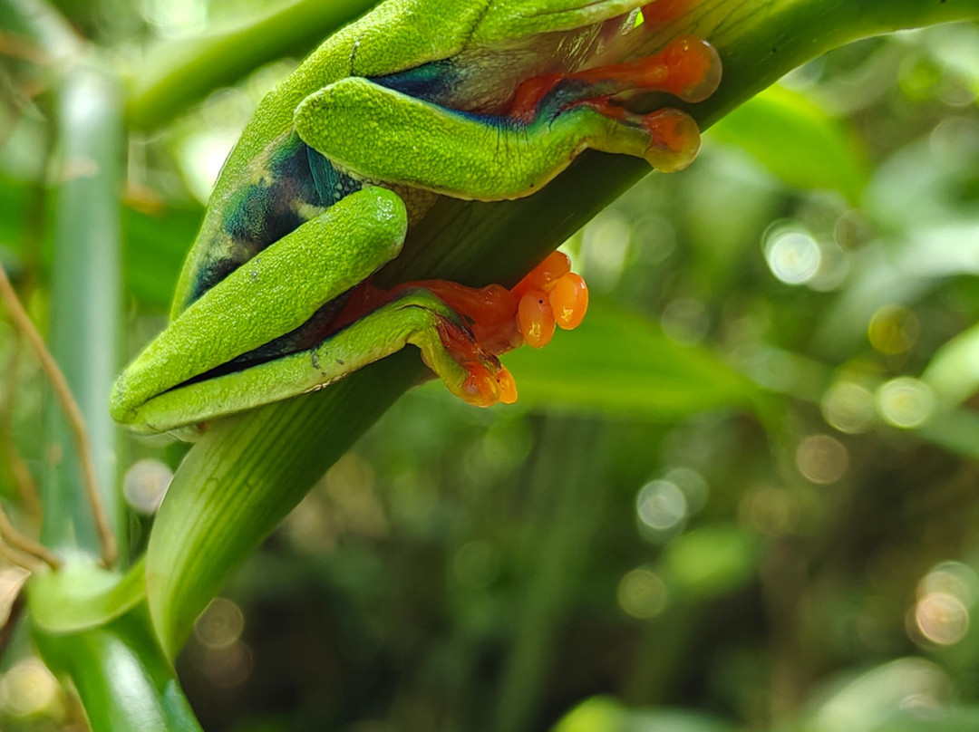 Water And Land Activities-Playa Panama必去景点