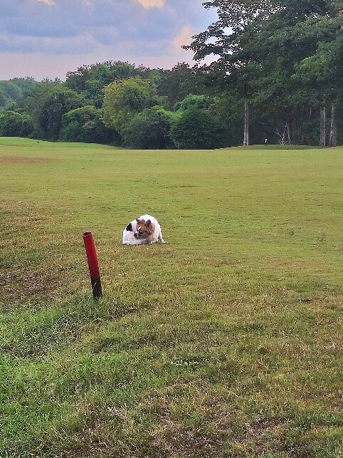 Vipingo Ridge-Kilifi必去景点