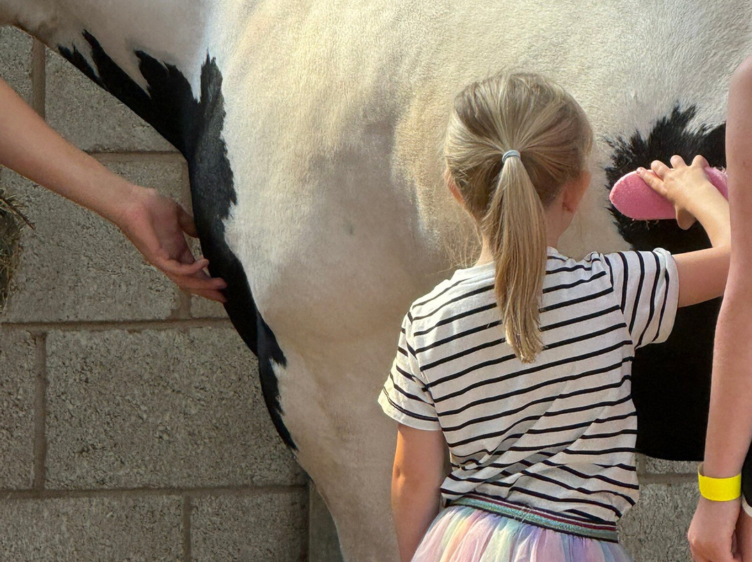 World Horse Welfare Penny Farm-黑潭必去景点