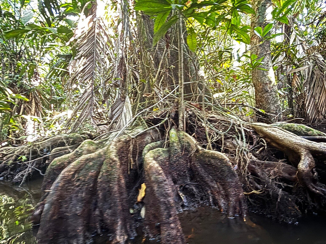 Costa Rica Roots Tours-托图杰多必去景点