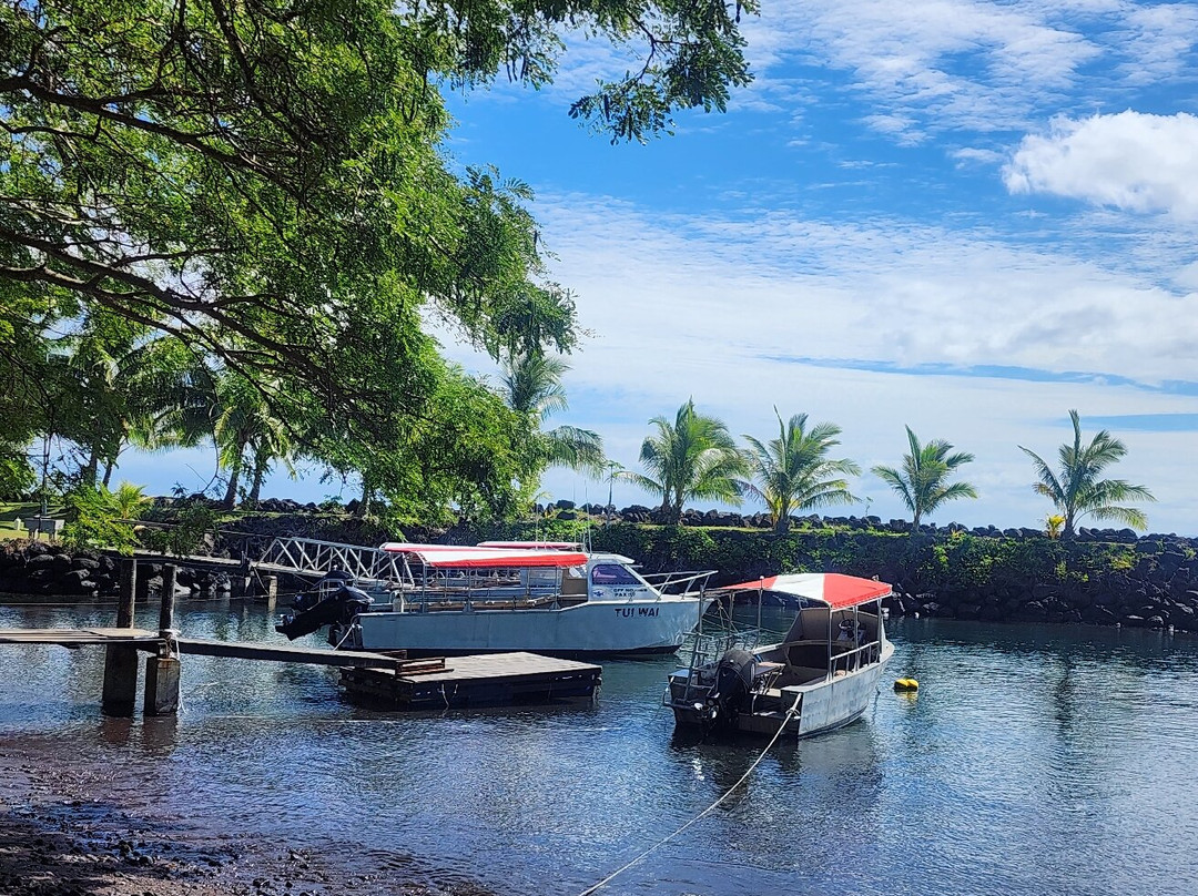 塔妙妮潜水度假酒店主图