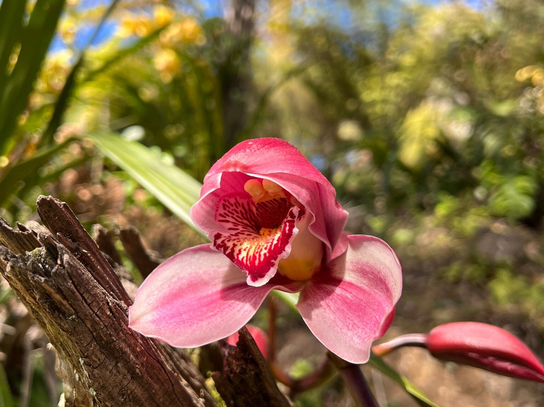 Te Puna Quarry Park-陶兰加必去景点