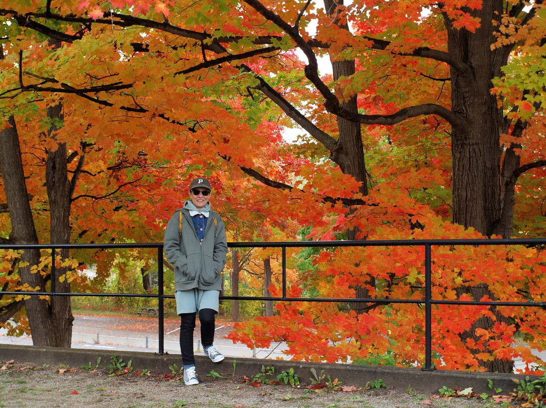 Martyrs' Shrine-Midland必去景点