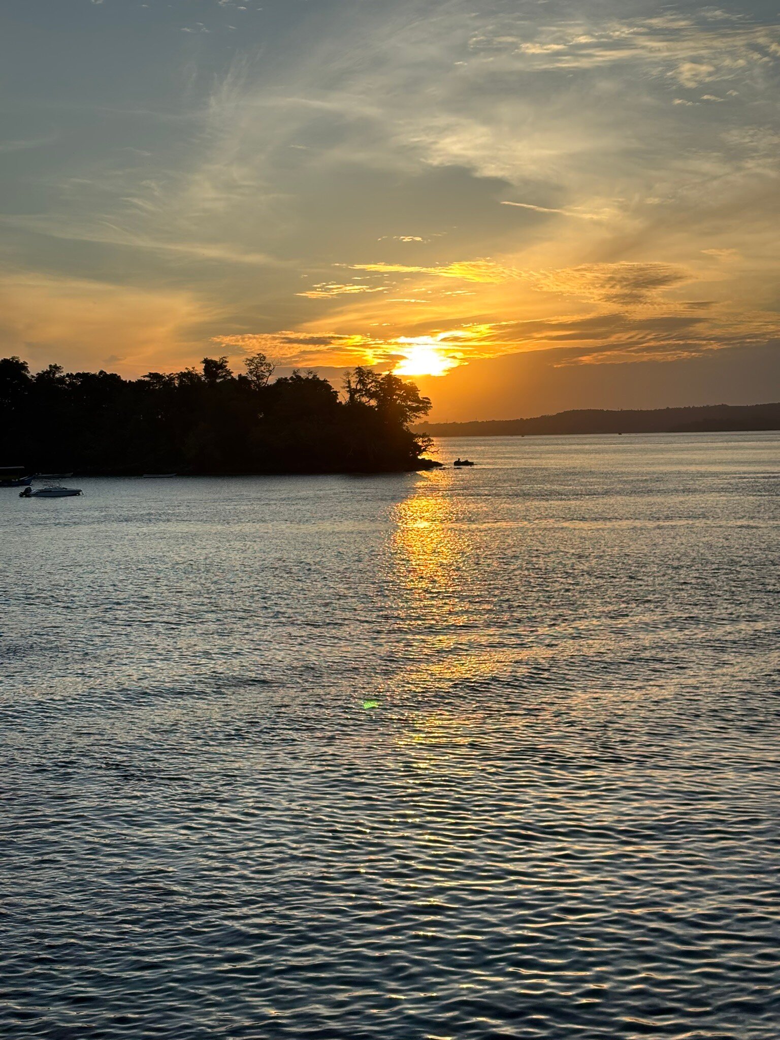 Eric's Greenhouse-官方