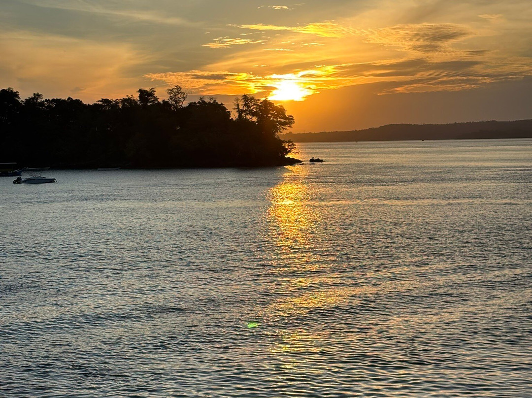 Eric's Greenhouse主图