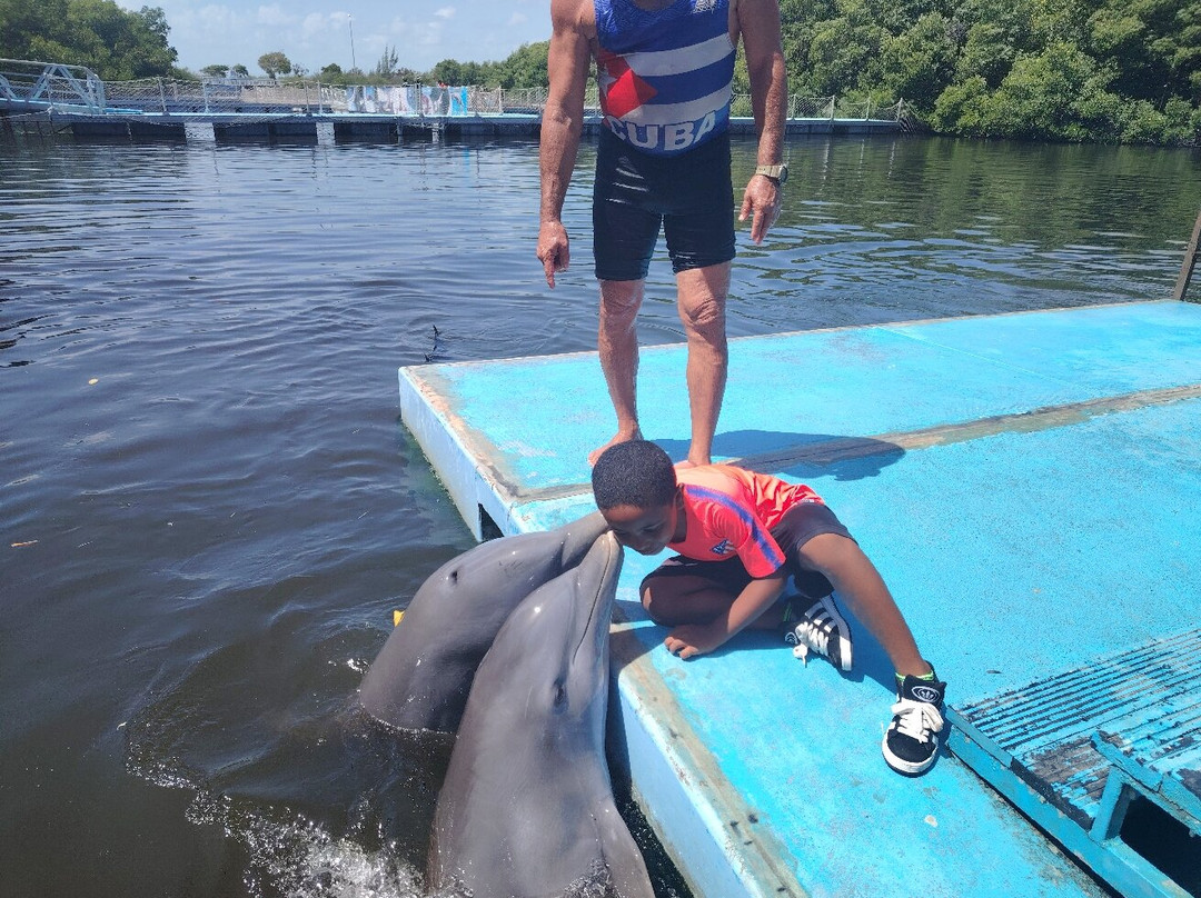 Delfinario-巴拉德罗必去景点