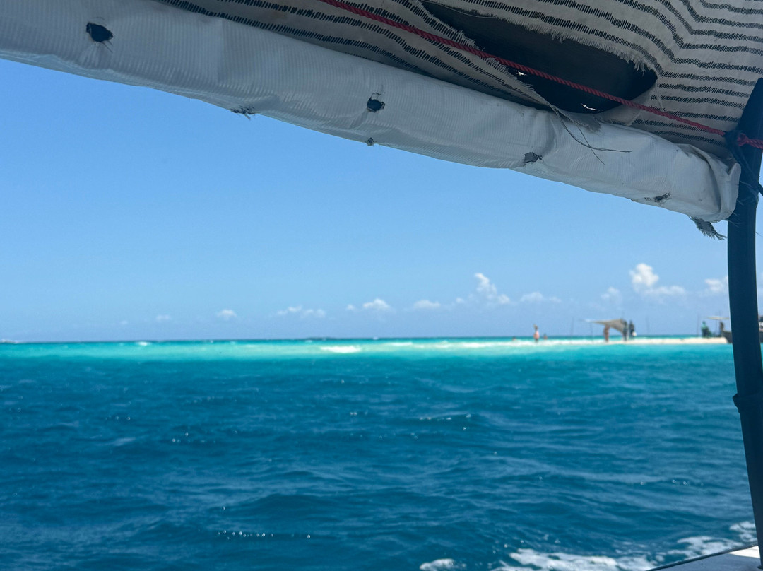 Suley Taxi Driver Zanzibar and Tours-孥归必去景点