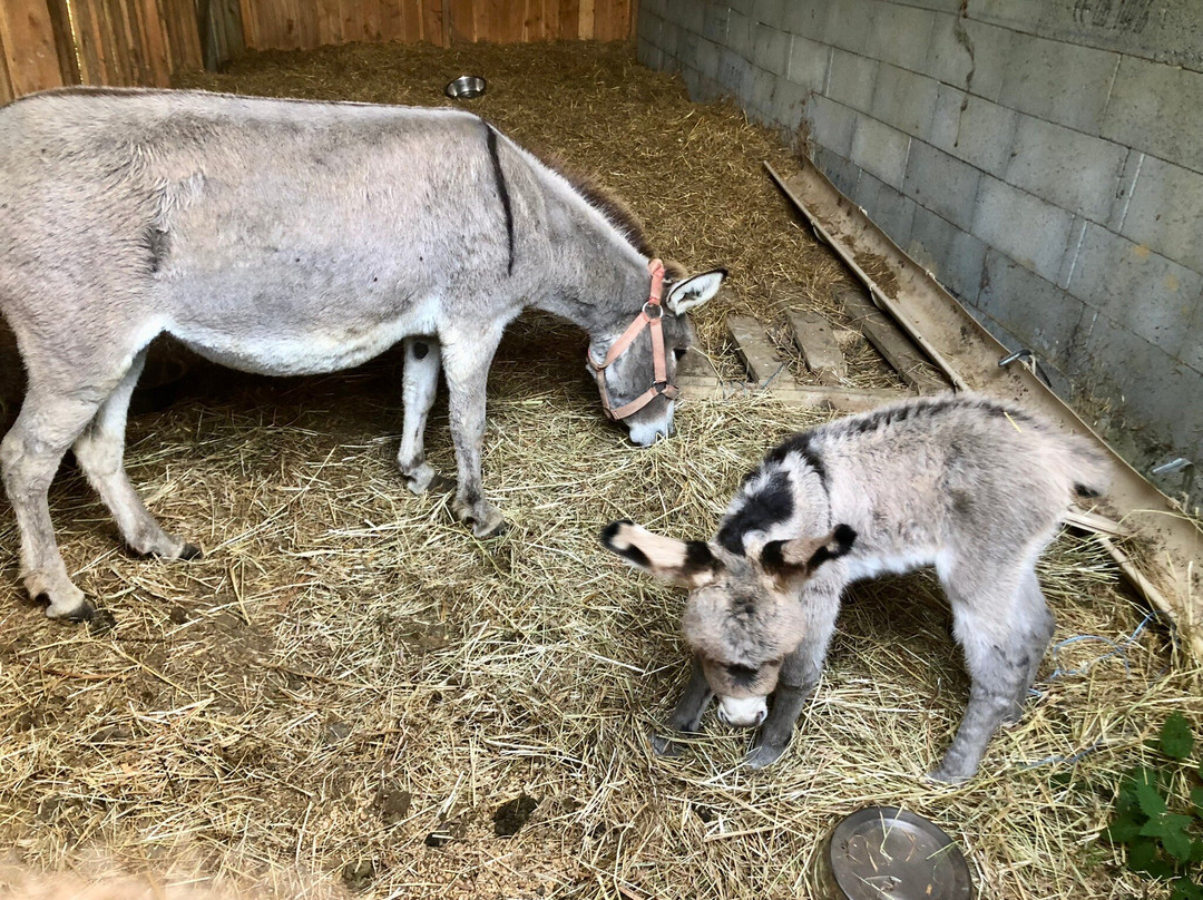 La Balade du Père Nicolas-Plumeliau必去景点