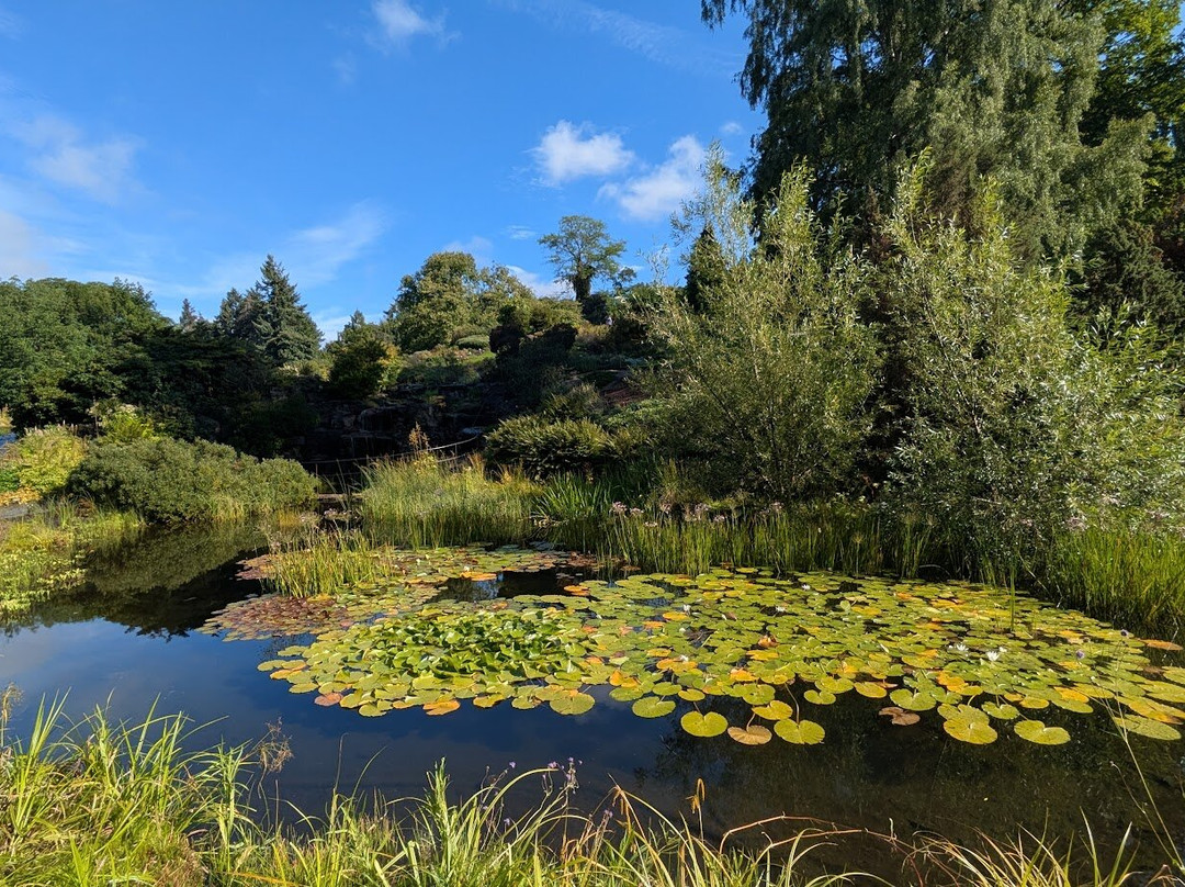 Botanical Garden-奥斯陆必去景点