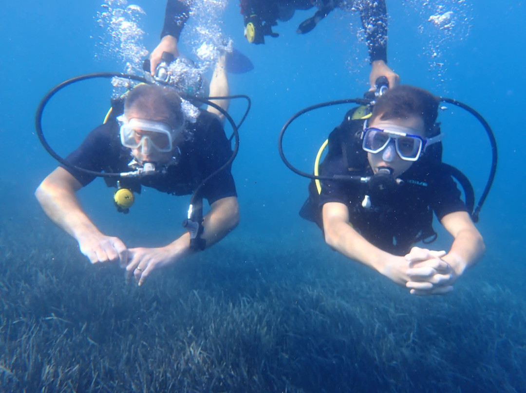 Sarıgerme Diving
