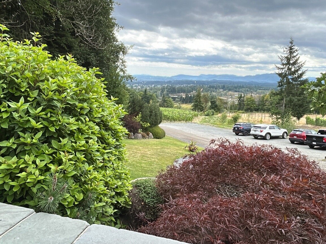 Averill Creek Vineyard-邓肯必去景点