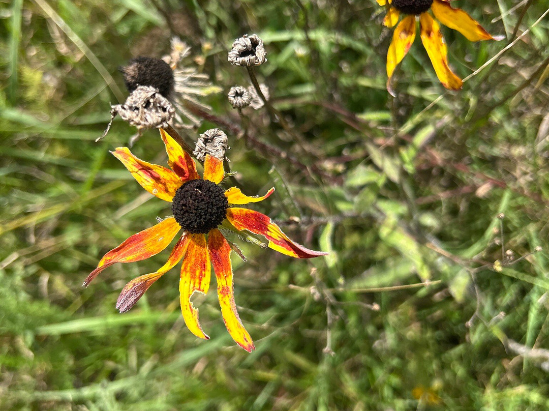 William O'Brien State Park-Marine on Saint Croix必去景点