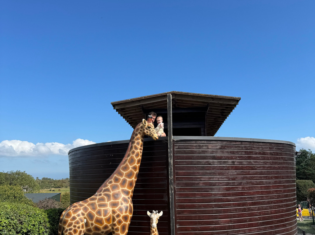 The Ark Open Farm-Newtownards必去景点