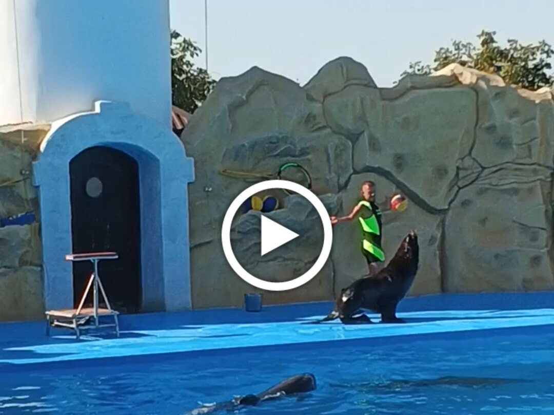 Dolphinarium-Yeysk必去景点