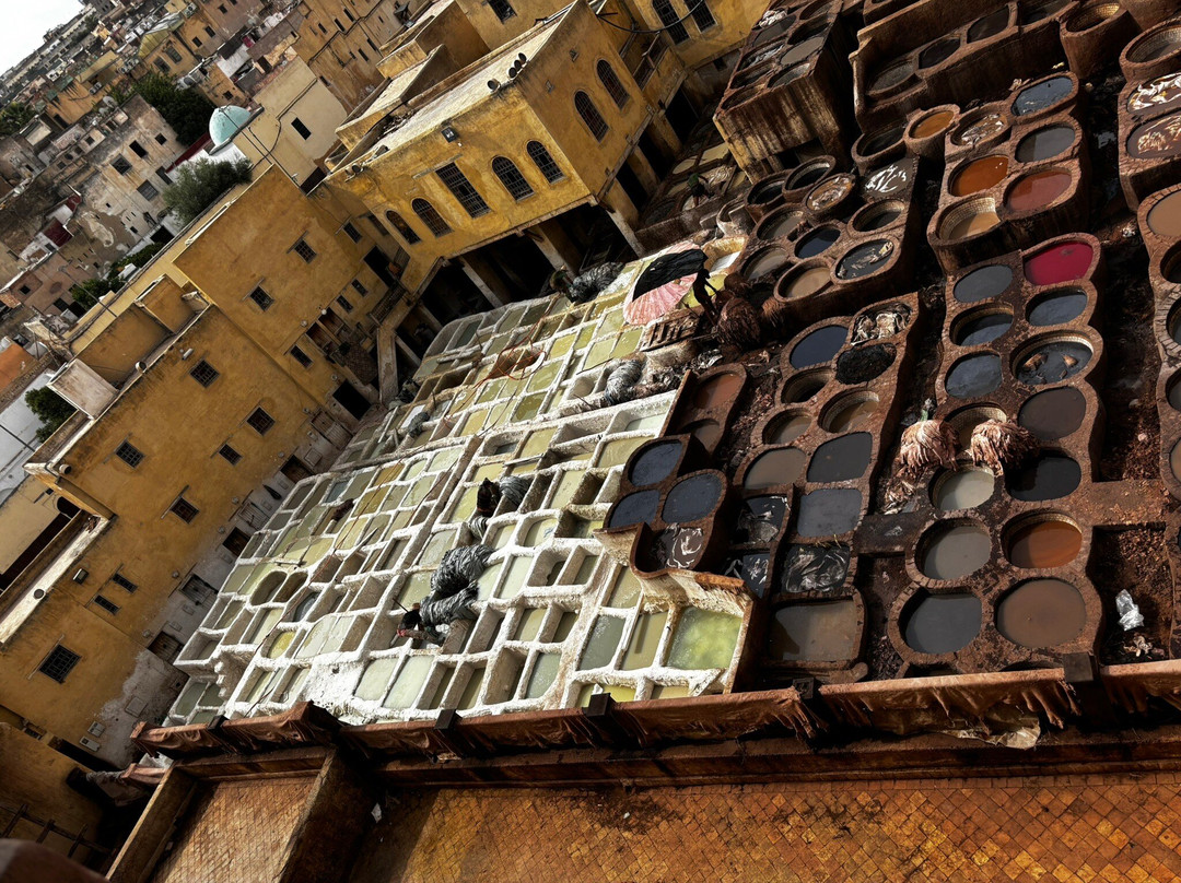 Fuma Tour Travel - Day Tours-非斯必去景点