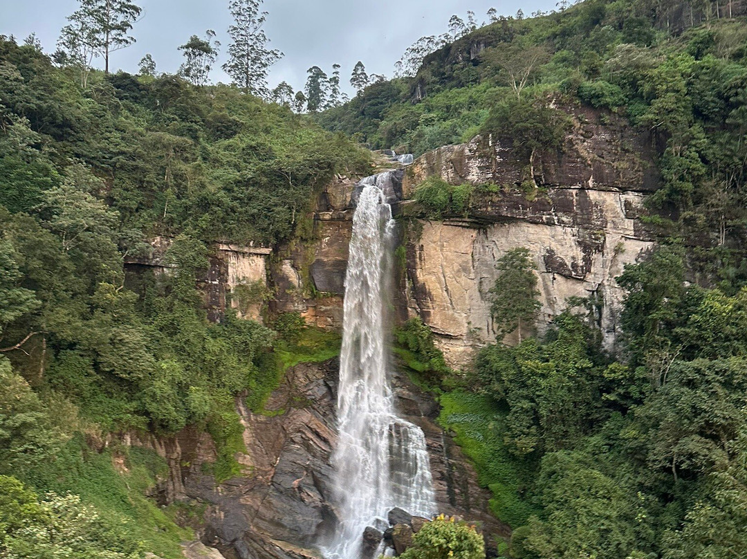 tuk tuk tk tours-Nanu Oya必去景点