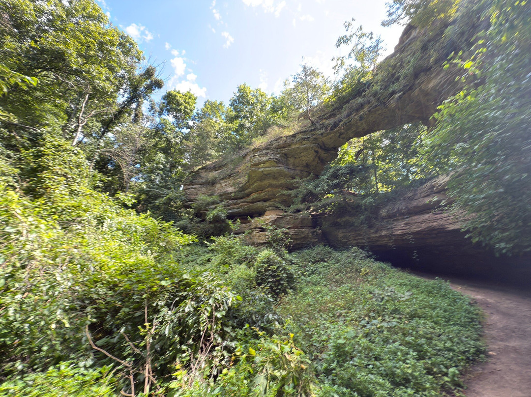 Natural Bridge State Park-Leland必去景点
