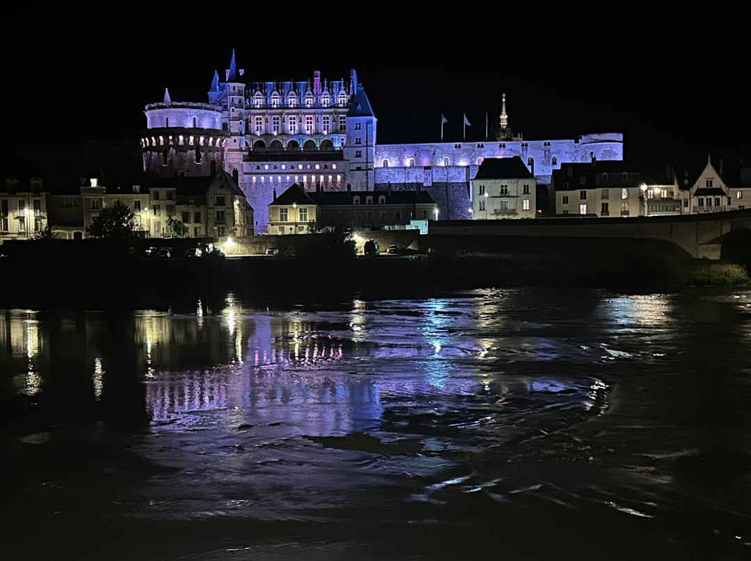 Le Shaker Amboise-昂布瓦斯必去景点