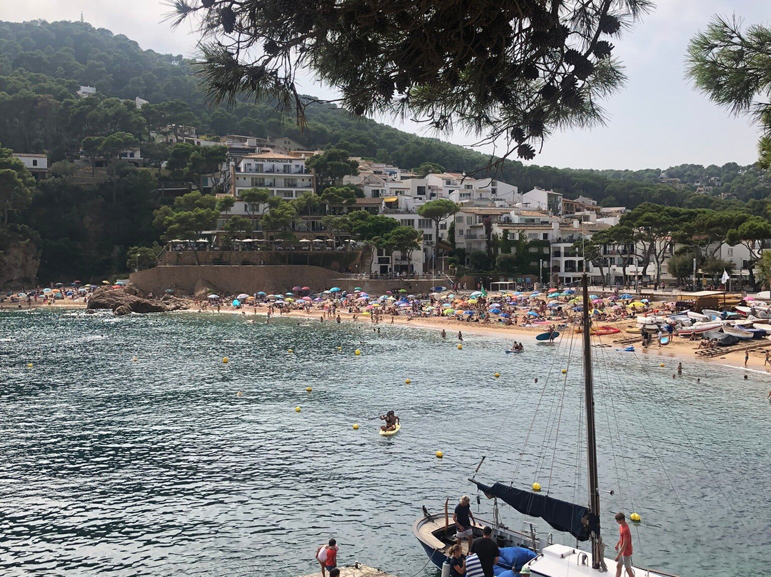 Tamariu Beach-Tamariu必去景点