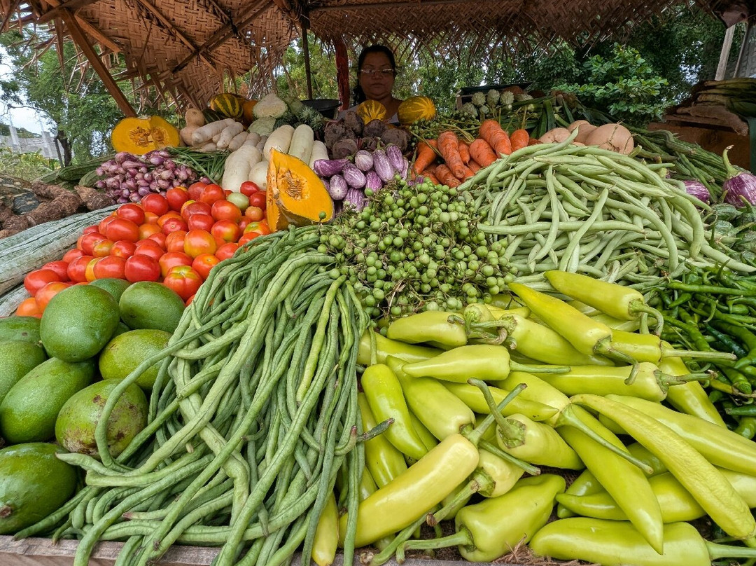 Sri Lanka Tailored Tours-Ja Ela必去景点