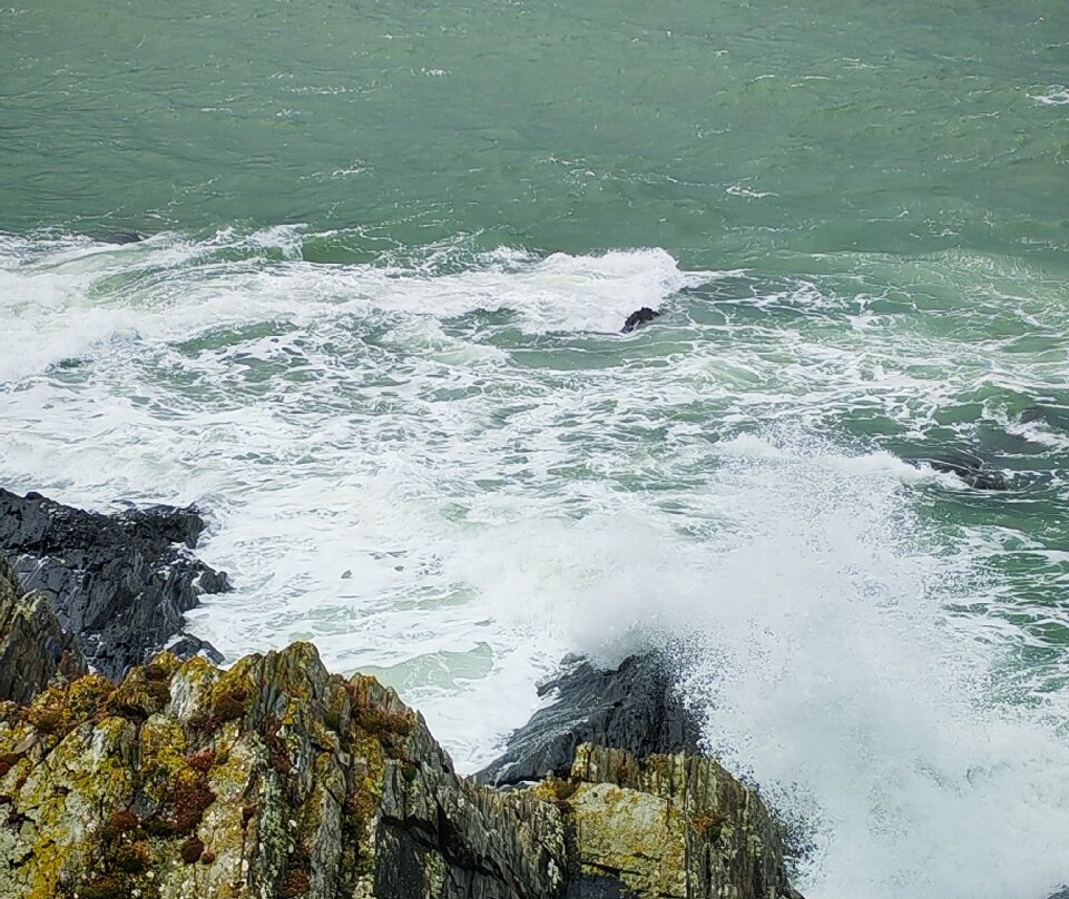 Cardigan Island Coastal Farm Park-Cardigan必去景点