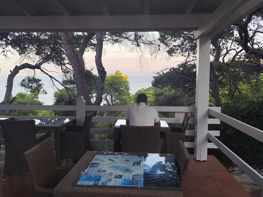 Hotel La Vela主图
