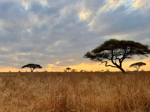 Lifestyle Safaris & Holidays Limited-阿鲁沙必去景点