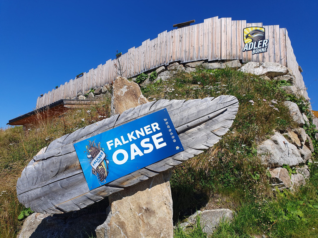 Adlerbuehne Ahorn-玛莉霍芬必去景点