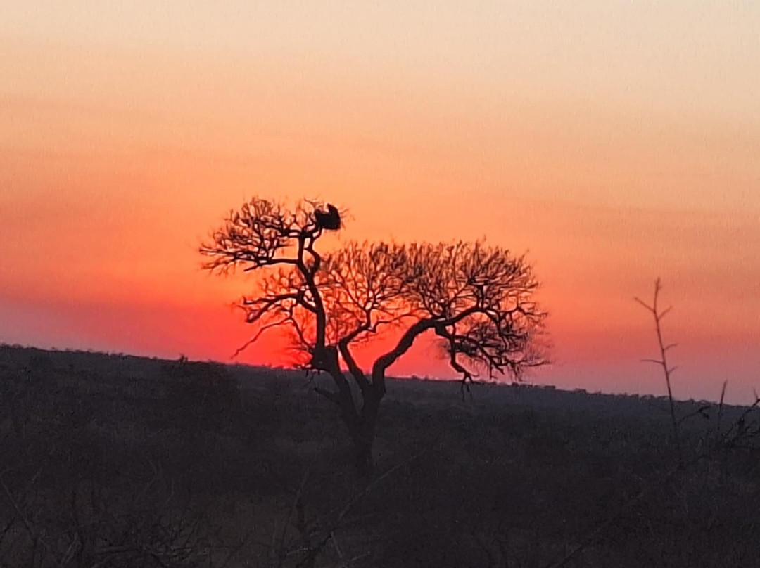 Dél-afrika-mozambik-尼斯普鲁特必去景点