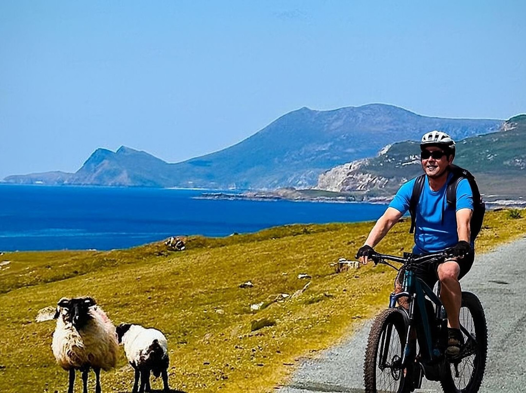 PADDY&NELLY BIKE HIRE-Tours-韦斯特波特必去景点