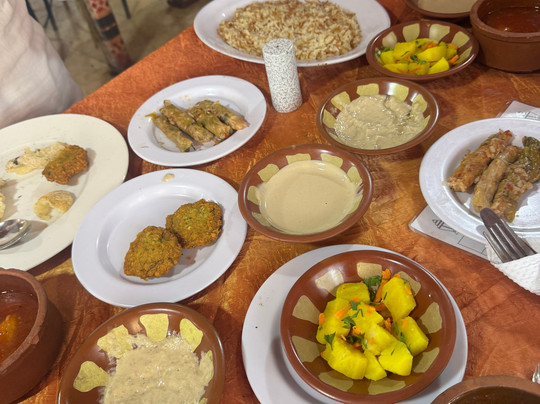 Egyptologist Tour Guide Moustafa-New Cairo City必去景点