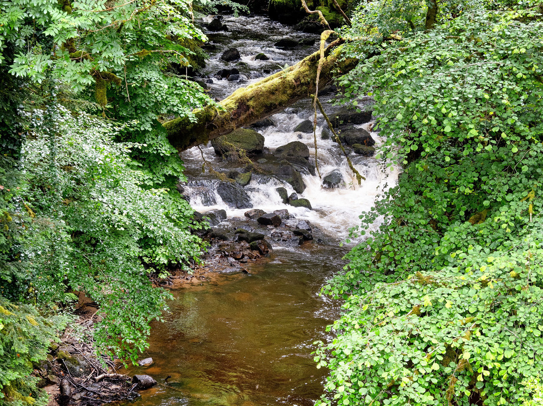 Gimel Les Cascades-Gimel-les-Cascades必去景点