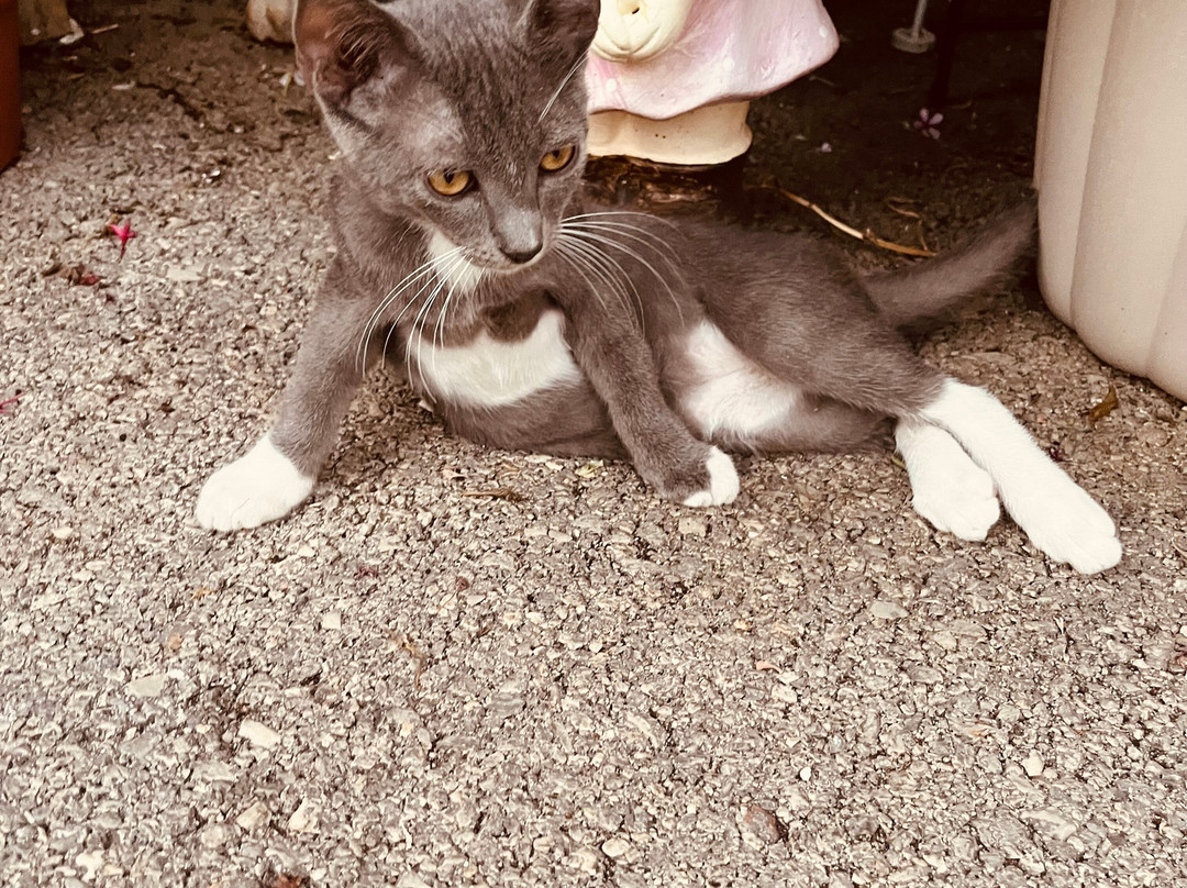 Hotel  Nicolas主图