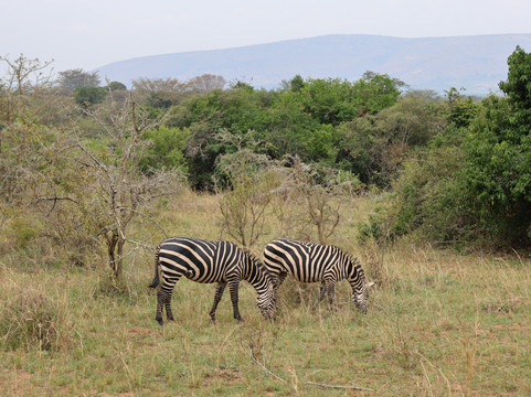 Africa 4 Corner Safari-吉佳利必去景点