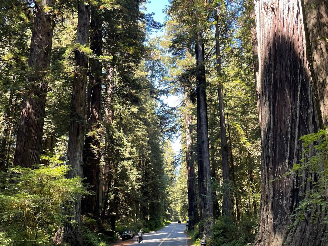 Wildtrail Tours-Arcata必去景点