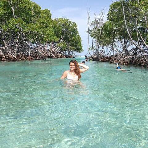 Aventuras Tropicales LLC