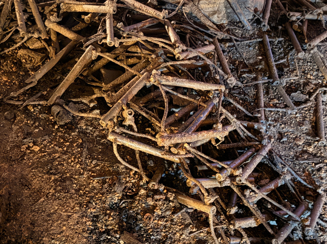 Lost World Caverns-Lewisburg必去景点