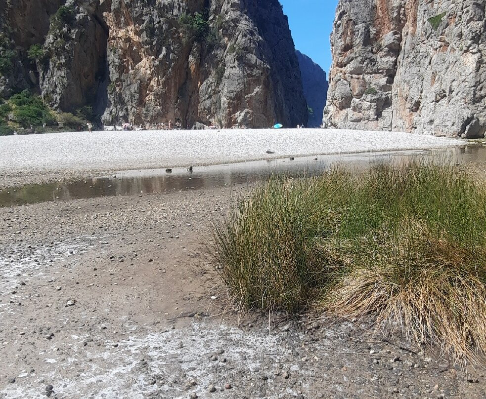 Torrent de Pareis-Sa Calobra必去景点