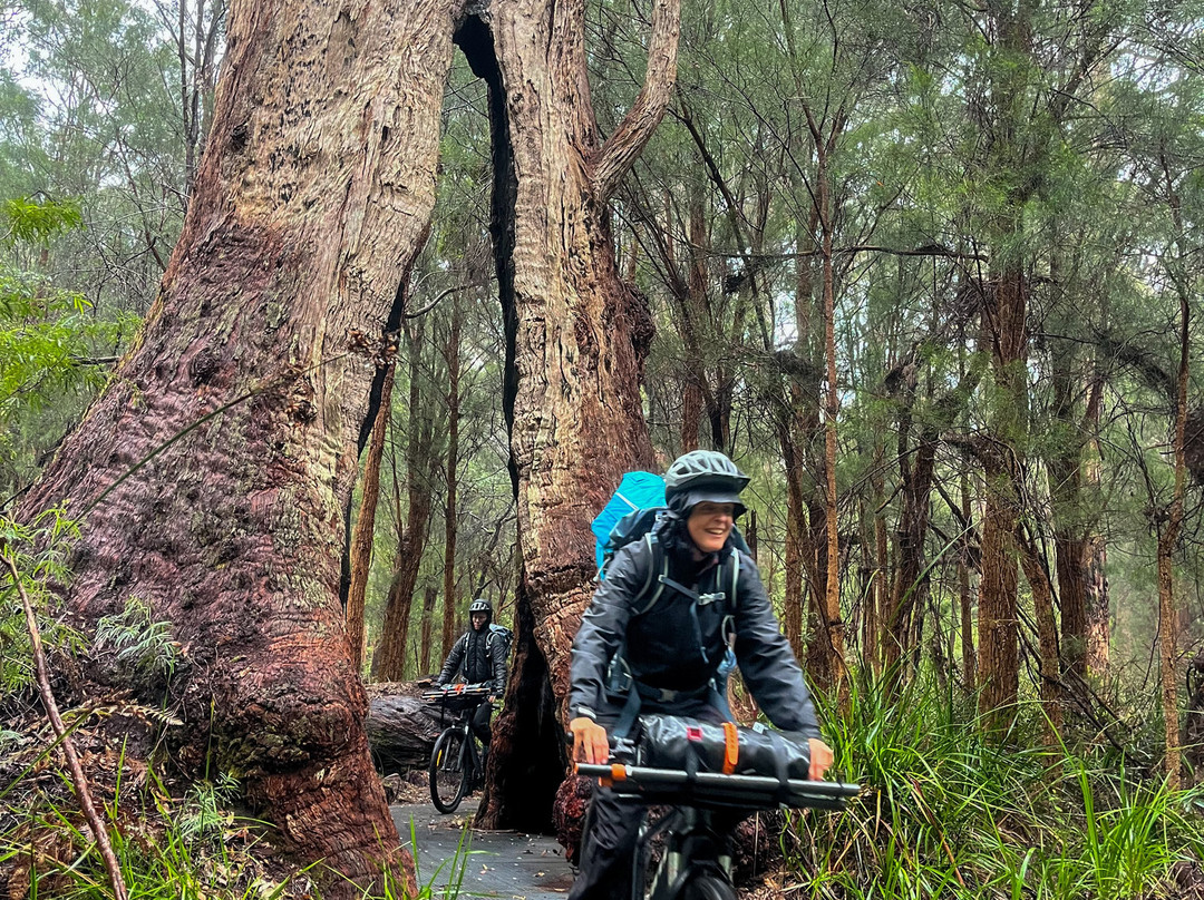 Wow Wilderness Ecoadventures-沃泊尔必去景点