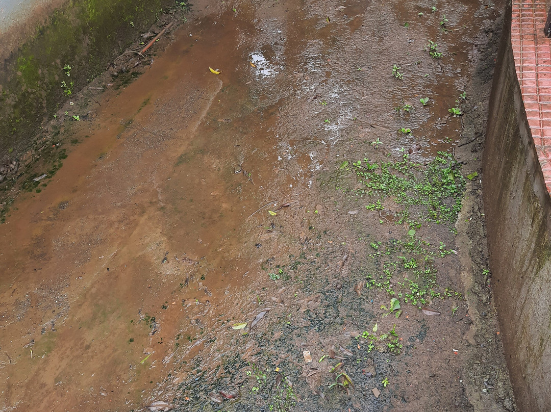 Tikuji-ni-wadi-塔那必去景点