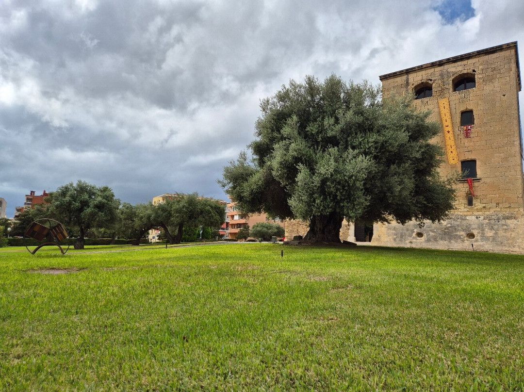 Torre Vella-萨洛必去景点