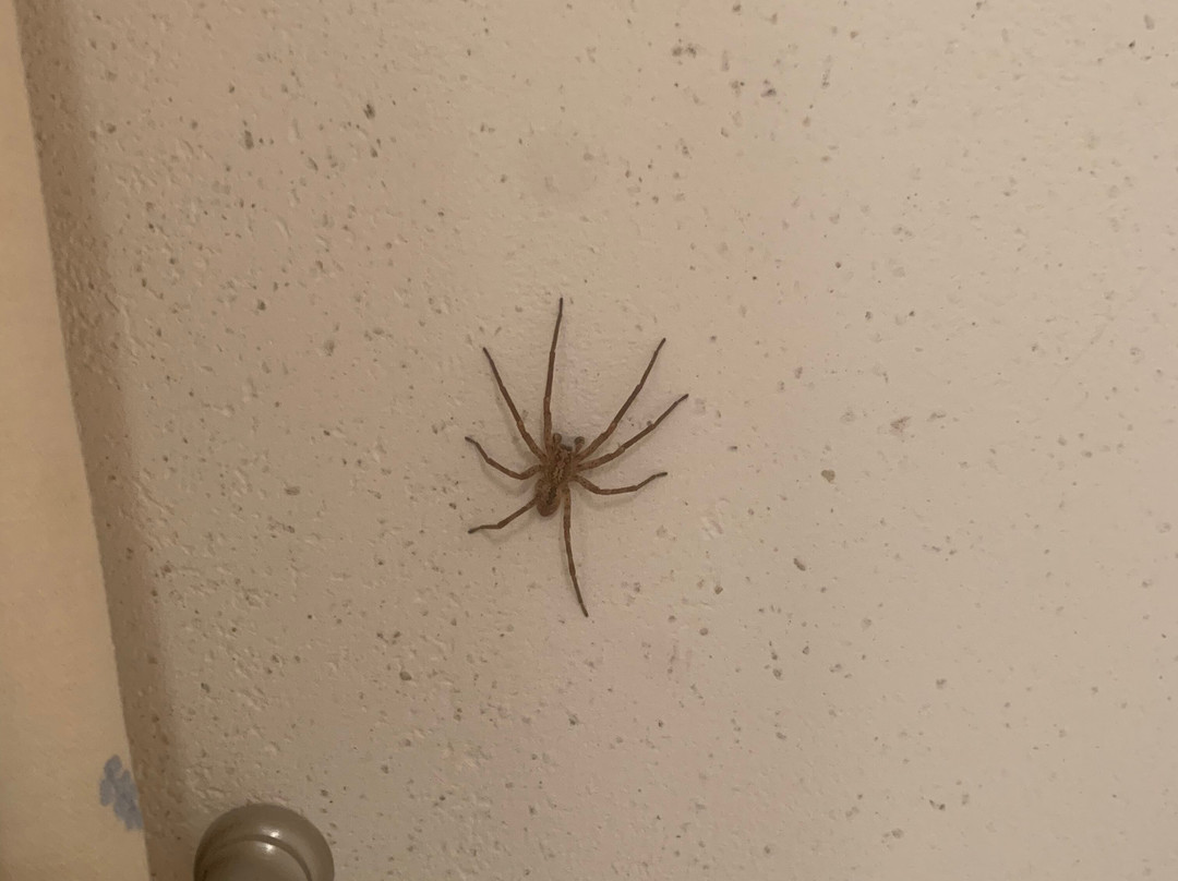 Hotel Villa Cecile主图