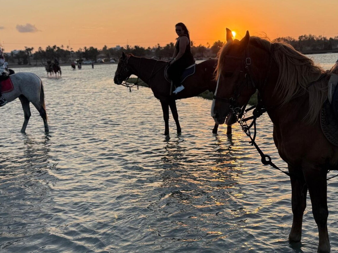 Nour Equestre Djerba-Djerba Midun必去景点
