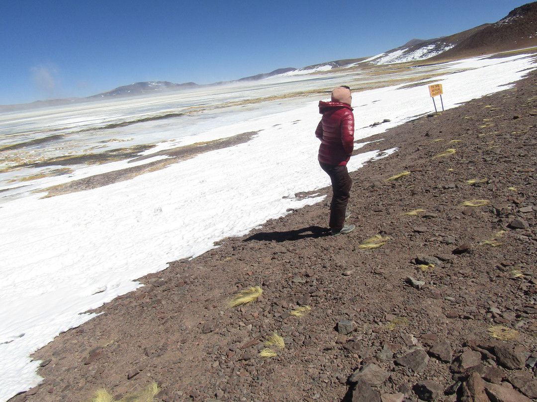 Laguna Brava Provincial Reserve-拉里奥哈必去景点