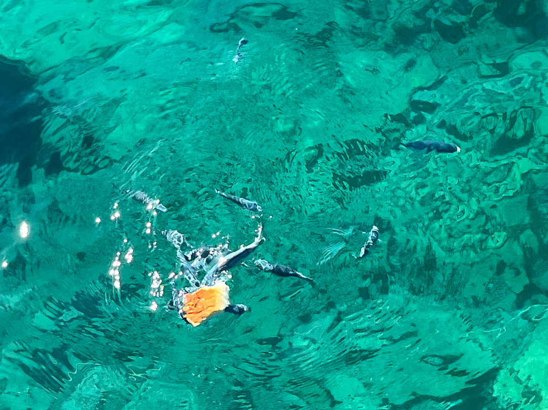 Manos cruises - Ferryman Boat-干尼亚必去景点