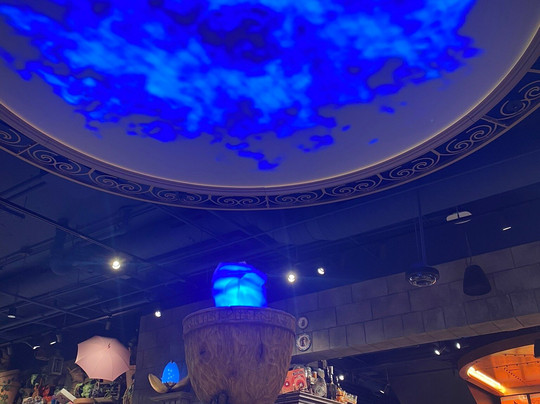 Harry Potter Shop Chicago-芝加哥必去景点